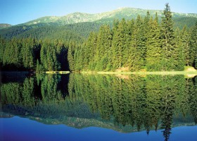 Trekking in the Low Tatras