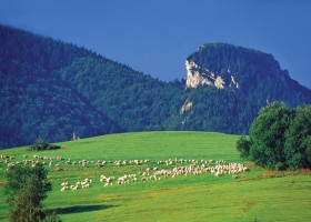 Trekking in the Malá (Lesser) Fatra