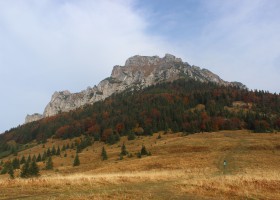 img_2091.jpg