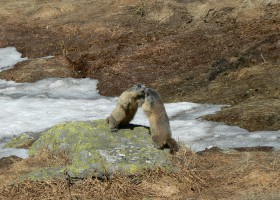 2011-05-26-077-vsetky-male-deti-sa-potrebuju-hrat.jpg