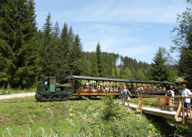 historical-logging-back-swath-railway.jpg